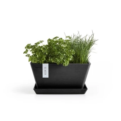 Ecopots Pflanzschale Berlin Quadratisch Dunkelgrau 41 Cm X 18 Cm – Bild 3