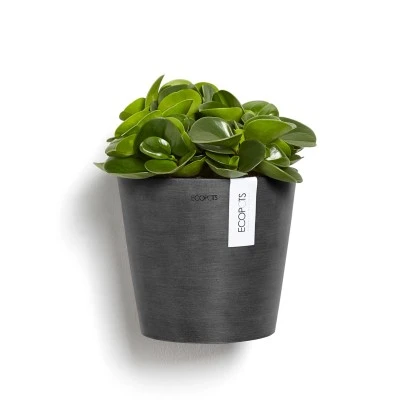 Ecopots Pflanztopf Amsterdam Wall Dunkelgrau 20 Cm X 17,5 Cm – Bild 2