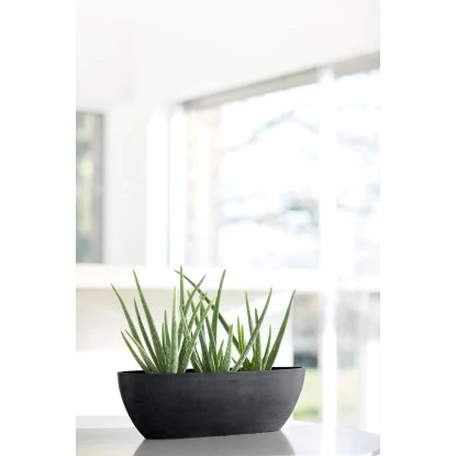 Ecopots Pflanzschale Sofia Lang Dunkelgrau 56 Cm X 14 Cm X 16 Cm – Bild 3