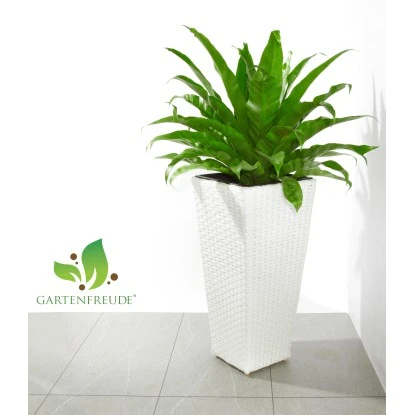 Gartenfreude Pflanzkübel Polyrattan Konisch 28 Cm X 28 Cm Weiß – Bild 2