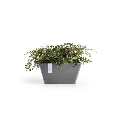 Ecopots Pflanzschale Berlin Quadratisch Grau 25 Cm X 12,8 Cm – Bild 2