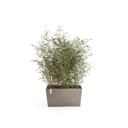 Ecopots Pflanztopf Paris Braungrau 60 Cm 26 Cm X 40 Cm – Bild 2