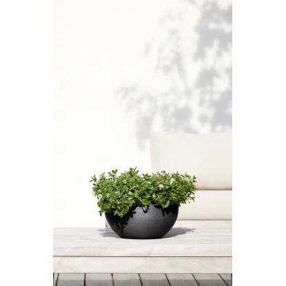 Ecopots Pflanztopf Brussels Dunkelgrau 30 Cm X 14 Cm – Bild 3