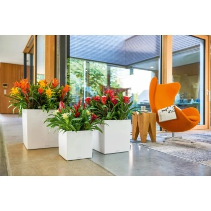 Lechuza Pflanzgefäß Cube Premium 30 Cm X 30 Cm Weiß Hochglanz – Bild 4