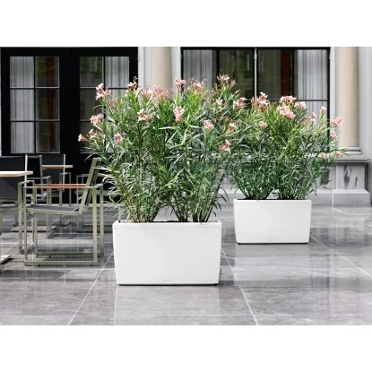 Lechuza Pflanzgefäß Cararo Premium 75 Cm X 30 Cm Weiß Hochglanz – Bild 3