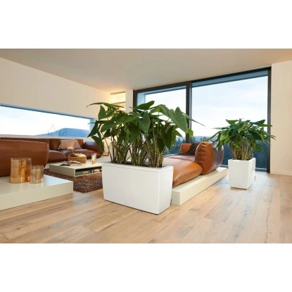 Lechuza Pflanzgefäß Cararo Premium 75 Cm X 30 Cm Weiß Hochglanz – Bild 4