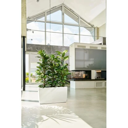 Lechuza Pflanzgefäß Cararo Premium 75 Cm X 30 Cm Weiß Hochglanz – Bild 5