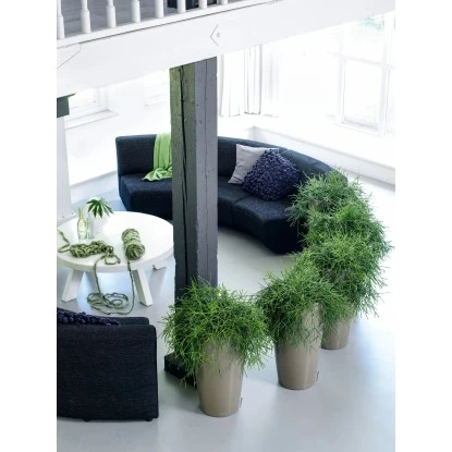 Lechuza Pflanzgefäß Rondo Premium Ø 33 Cm X 56 Cm Taupe Hochglanz – Bild 5