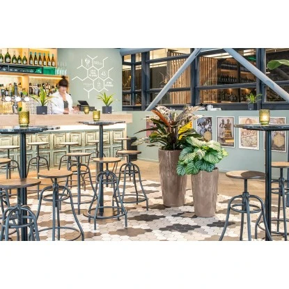 Lechuza Pflanzgefäß Rondo Premium Ø 33 Cm X 56 Cm Taupe Hochglanz – Bild 6