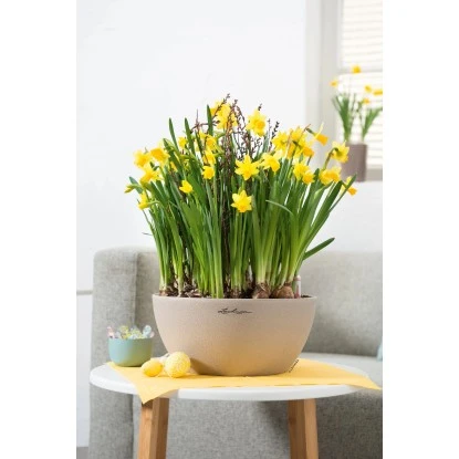 Lechuza Pflanzgefäß Cubeto Stone 40 Sandbeige Ø 40 Cm – Bild 4