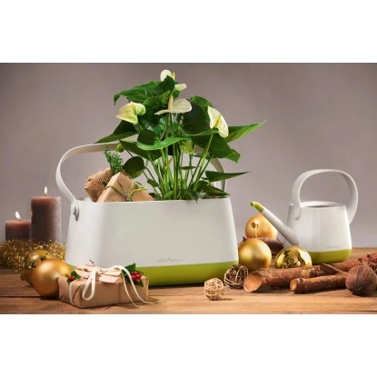 Lechuza Pflanzgefäß Yula Pflanztasche 38 Cm X 17 Cm X 33 Cm Weiß-Grün – Bild 5