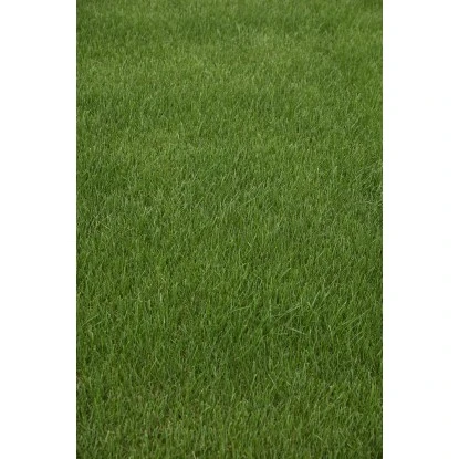 Kiepenkerl Saatgut RSM 3.2 Sportrasen - Regeneration 10 Kg Für 350 M² – Bild 6