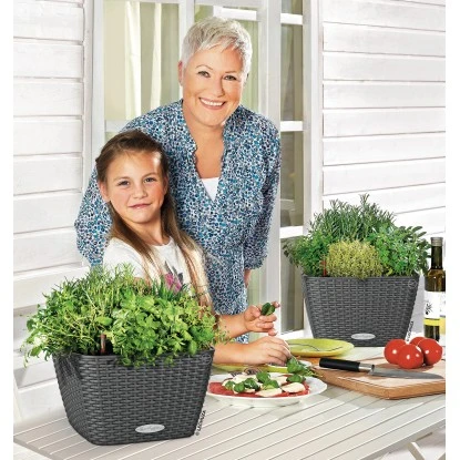 Lechuza Pflanzgefäß Bacino Cottage Granit 30 X 30 Cm Mit Erdbewässerungssystem – Bild 4