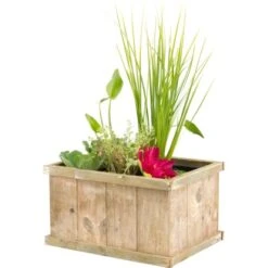 OBI Terrassenteich In Holzkiste Old Dutch Topf-Ø Ca. 40 Cm