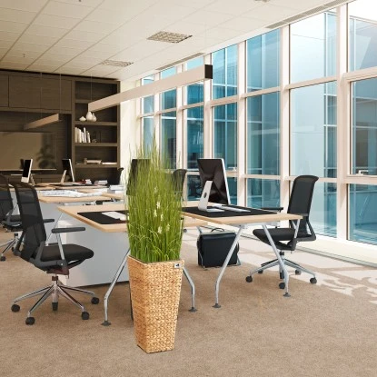 Gartenfreude Blumentopf Wasserhyazinthe 28 X 28 X 60 Cm Natur Kunststoffeinsatz – Bild 5