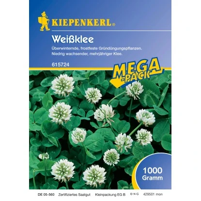 Kiepenkerl Weissklee