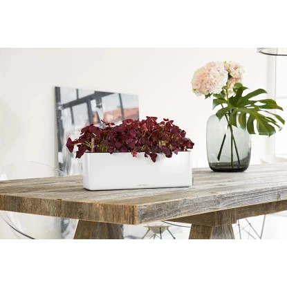 Lechuza Pflanzgefäß Cube Glossy Triple Weiß Highgloss 40 Cm X 14 Cm – Bild 3