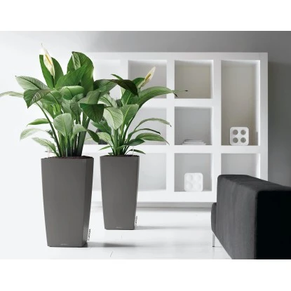 Lechuza Pflanzgefäß Cubico Premium 22 Anthrazit Metallic 22 Cm X 22 Cm – Bild 3