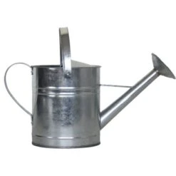 Zink-Gießkanne 5,0 Liter Silber