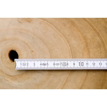 Blu CO2-Klimabaum Topf-Ø Ca. 15 Cm Paulownia Fortunei – Bild 5