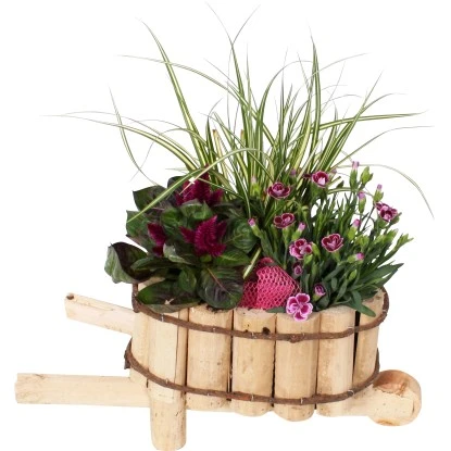 Pflanzenarrangement Im Holzgefäß Höhe Ca. 45 Cm Ø Ca. 21 Cm