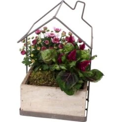 Pflanzenarrangement Im Haus-Gefäß Höhe Ca. 20 - 25 Cm Ø Ca. 25 Cm