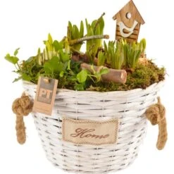 Arrangement Mit Verschiedenen Frühjahrsblühern Im Henkelkorb Topf-Ø Ca. 28 Cm