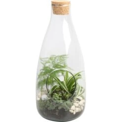 Grünpflanzen-Arrangement Im Glas-Gefäß Topf-Ø Ca. 15 Cm