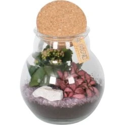 Pflanzen-Arrangement Im Korken-Glas Topf-Ø Ca. 18 Cm