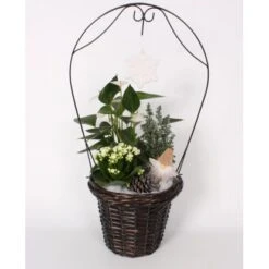 Winterliches Pflanzen-Arrangement Im Henkelkorb Topf-Ø 28 Cm