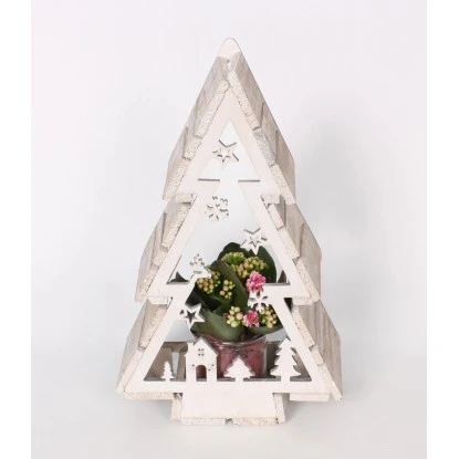 Flammendes Käthchen Im Weihnachtsbaum-Holz-Gefäß Topf-Ø Ca. 22 Cm