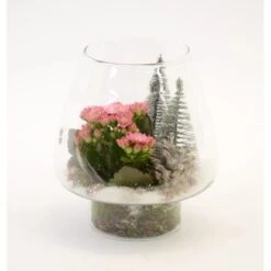 Winterliches Pflanzen-Arrangement Im Glas-Gefäß Topf-Ø Ca. 16 Cm