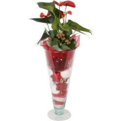 Weihnachtliches Pflanzen-Arrangement In Glasvase Topf-Ø Ca. 12 Cm