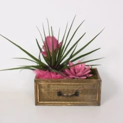 Pflanzen-Arrangement Im Holz-Gefäß Topf-Ø Ca. 23 Cm