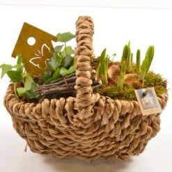 Frühlingsschale Höhe Ca. 20 - 30 Cm Im Henkellkorb