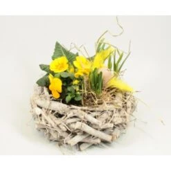 Frühlingsschale Höhe Ca. 20 - 30 Cm Im Schilfkranz