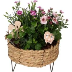 Sommer-Arrangement Im Runden Korb-Gefäß Ø Ca. 23 Cm