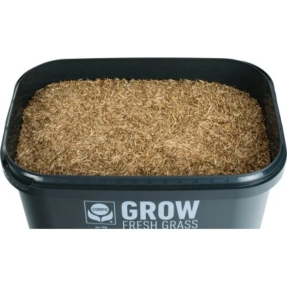 Compo Grow Fresh Grass 1,7 Kg Für 100 M² – Bild 5