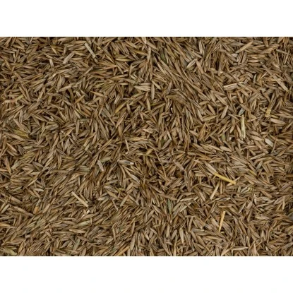 Compo Grow Fresh Grass 1,7 Kg Für 100 M² – Bild 6