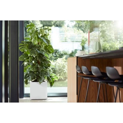 Elho Pflanztopf Vivo Matt Mit Rollen 39 Cm X 39 Cm X 41 Cm Weiß – Bild 4