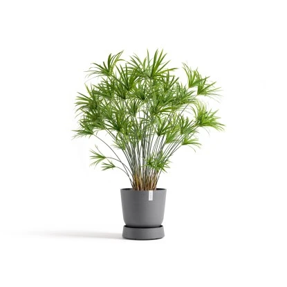 Ecopots Untersetzer Oslo Rollen Grau 32,2 Cm X 8,5 Cm – Bild 2