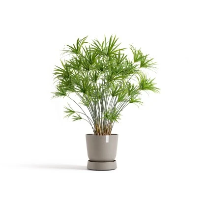 Ecopots Untersetzer Oslo Rollen Braungrau 32,2 Cm X 8,5 Cm – Bild 2