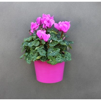 KalaMitica Metallplatte Katzen-Form 56 Cm X 38 Cm Anthrazit – Bild 8