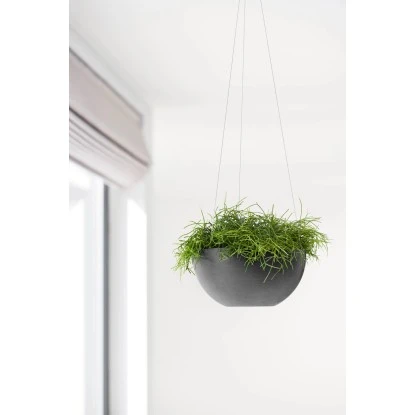 Ecopots Pflanztopf Brussels Hängend Dunkelgrau 26,5 Cm X 13 Cm – Bild 3